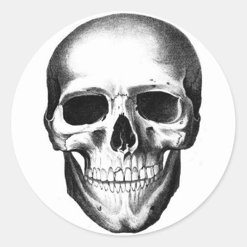 Skull Skeleton Head Scary Creepy Halloween Classic Round Sticker by PrintTiques at Zazzle