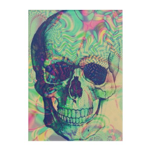 skull skeleton skullcute skull skull pattern acrylic print