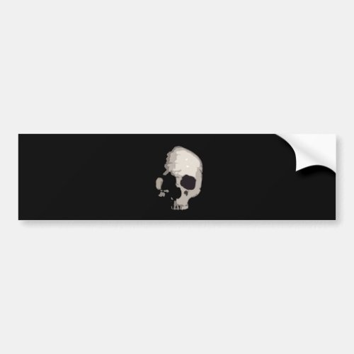 Skull Skulls Bumper Sticker