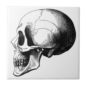Skull Small (4.25" x 4.25") Ceramic Photo Tile
