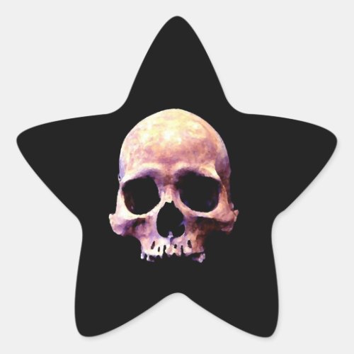 Skull Star Sticker