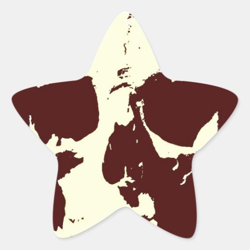 Skull Star Sticker