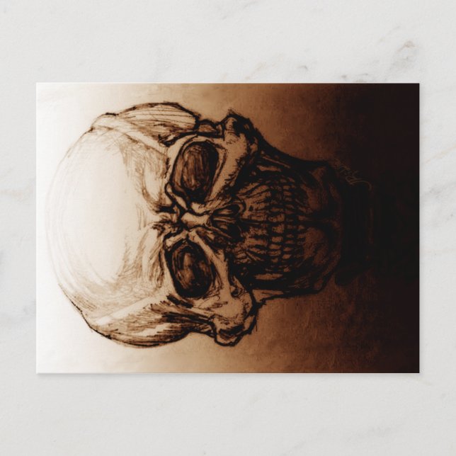 Skull Study Postcard (Front)