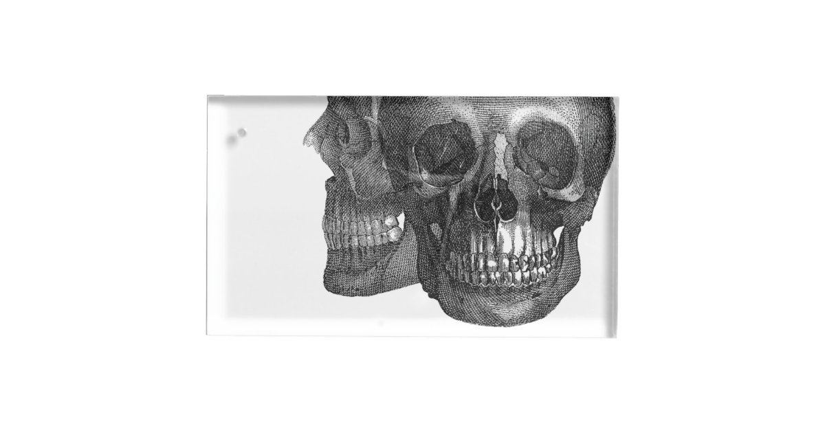 Skull Table Number Holder | Zazzle