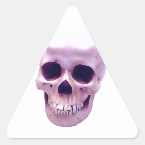 Skull Triangle Sticker