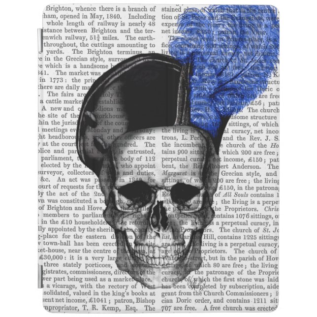 Skull with Blue Hat iPad Air Cover (Front)