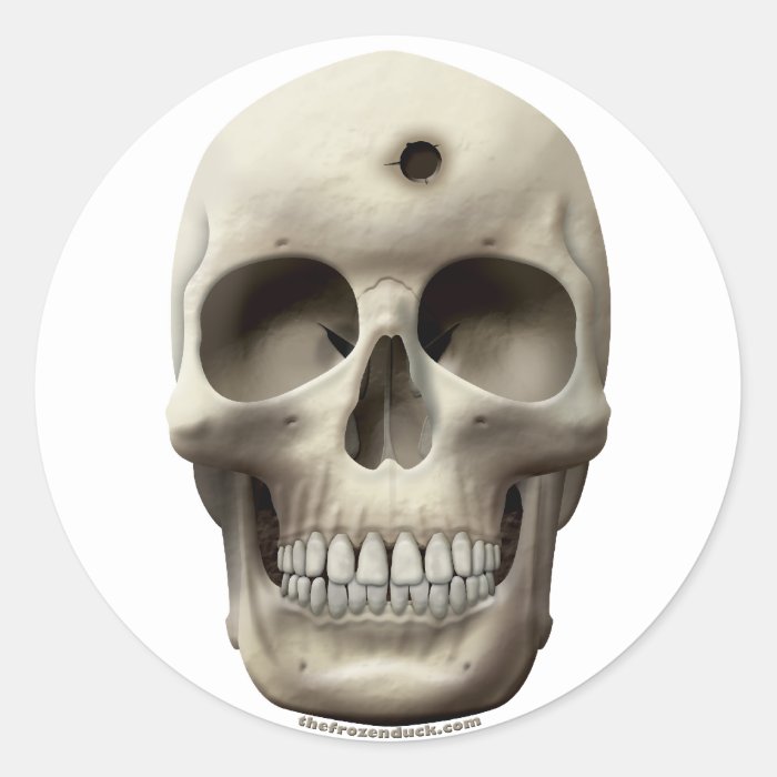 Skull with Bullet Hole Stickers