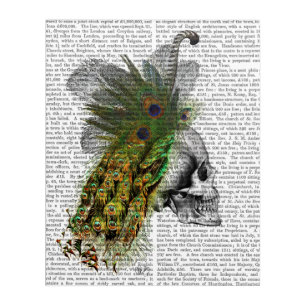 Skull With Feather Headress Acrylic Print