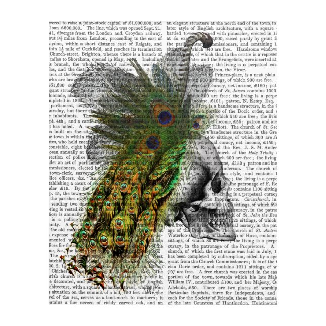 Skull With Feather Headress Acrylic Print (Front)