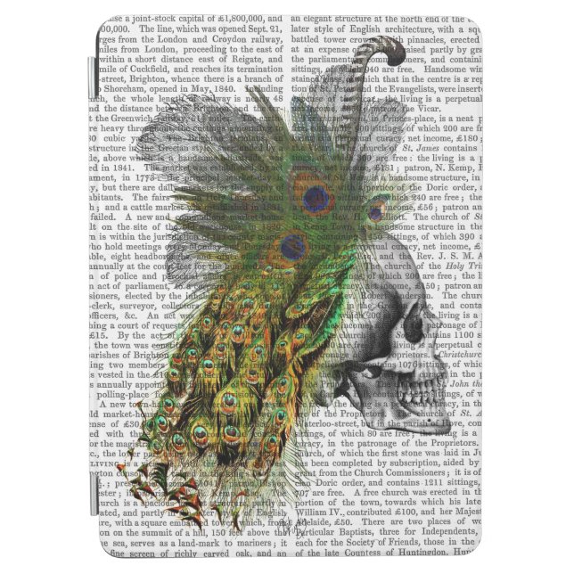 Skull With Feather Headress iPad Air Cover (Front)