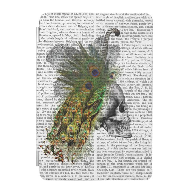 Skull With Feather Headress iPad Mini Cover (Front)