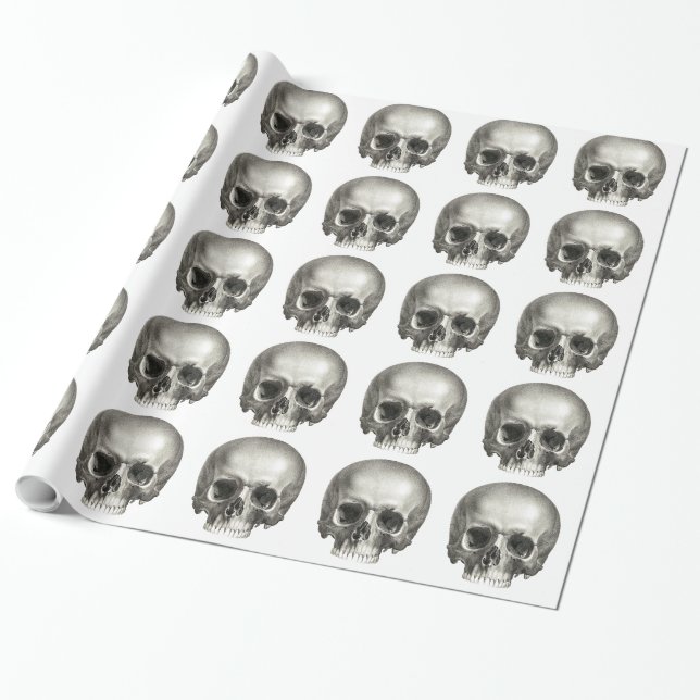 Skull Wrapping Paper (Unrolled)