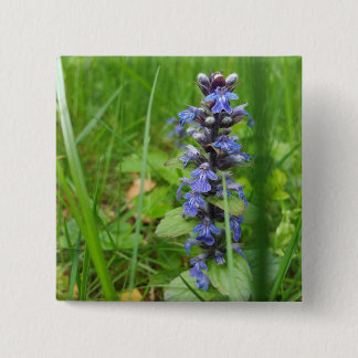 Skullcap Violet Wild Flower Button