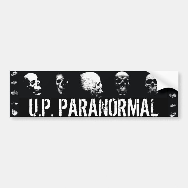 Skulls - Bumper Sticker (Front)