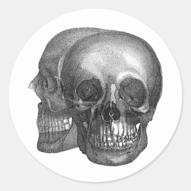 Skulls Envelope Seal Sticker (Front)