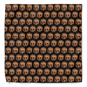 Skulls Halloween Bandana