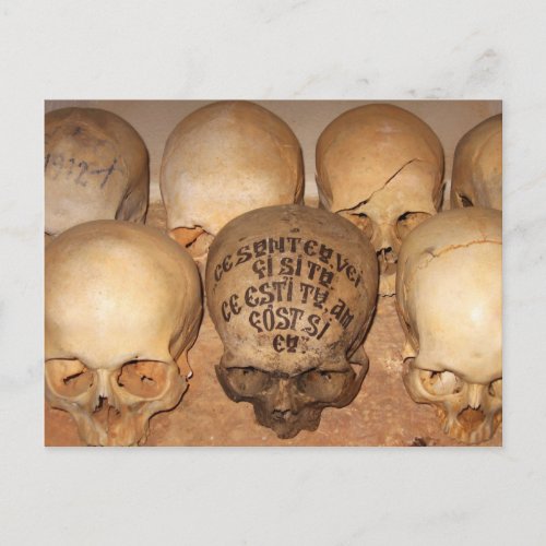 Skulls in an Orthodox Ossuary Postcard