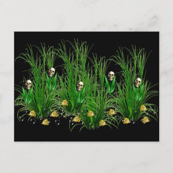 Skulls In The Weeds Postcard by Crazy_Card_Lady at Zazzle