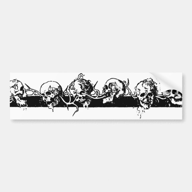 Skulls on a Vine. Circa 1901 Mexico. Bumper Sticker (Front)