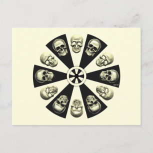 Skulls Postcard