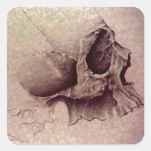 skulls square sticker (Front)