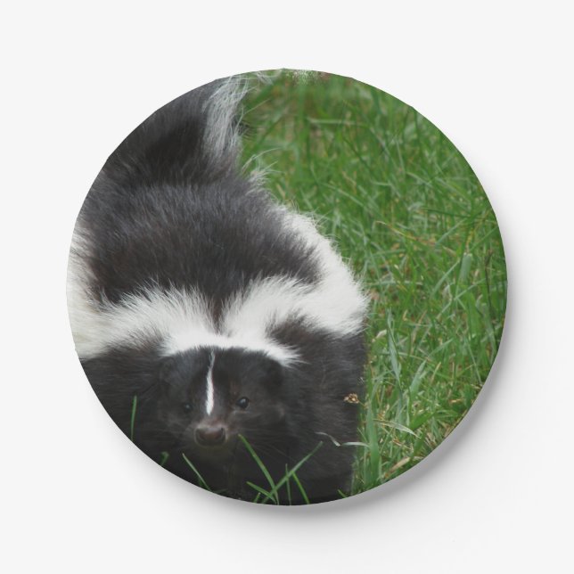 skunk-2 paper plates (Front)