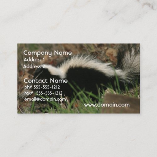 Skunk Behavior Business Card