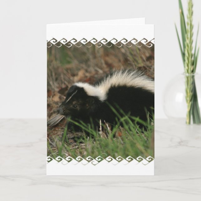 Skunk Behavior  Greeting Card (Front)
