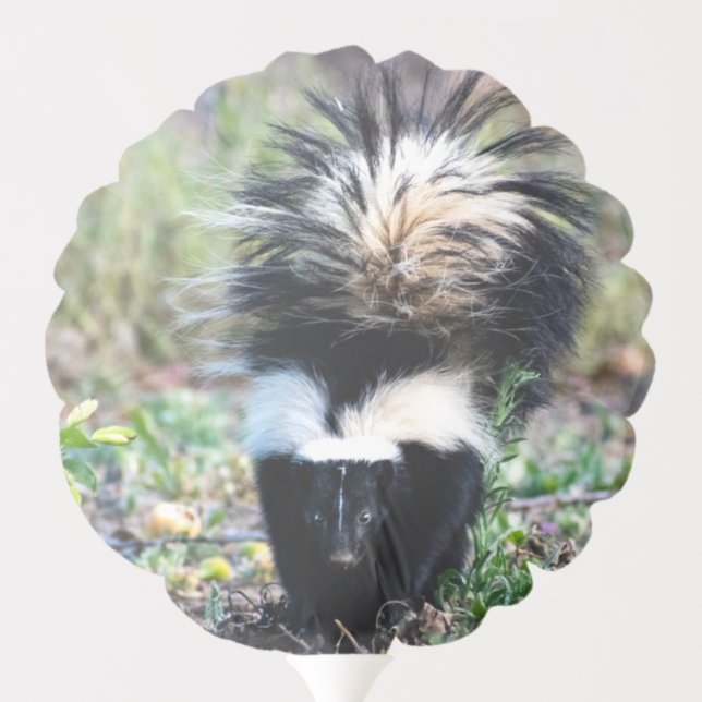 Skunk Black and White Balloon (Back)