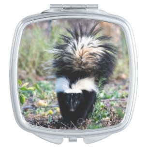 Skunk Black and White Compact Mirror