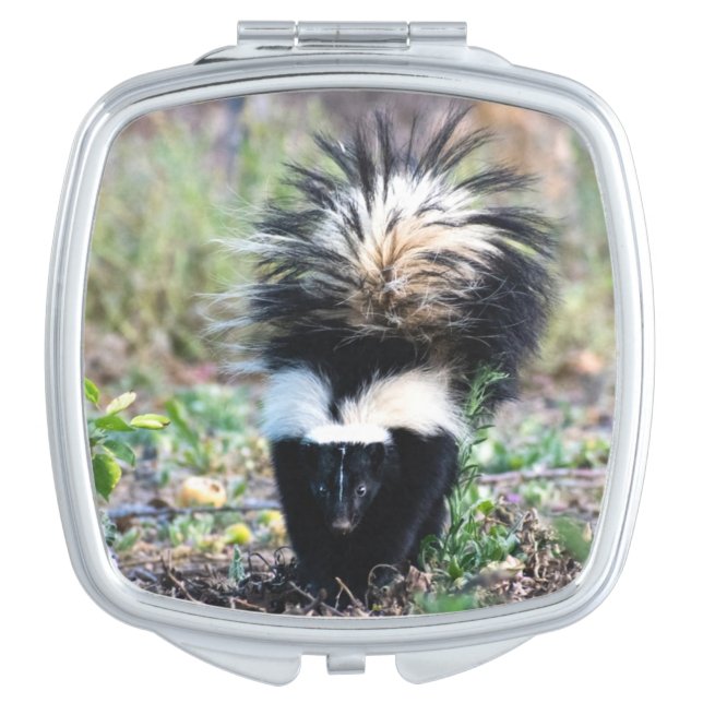 Skunk Black and White Compact Mirror (Front)