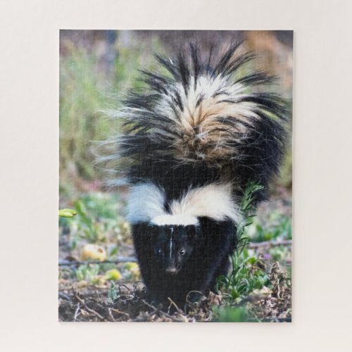 Skunk Black and White Jigsaw Puzzle