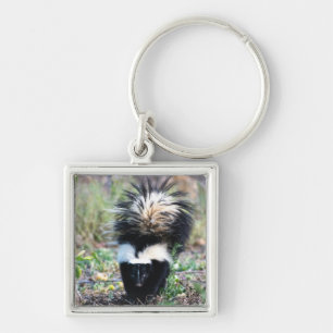 Skunk Black and White Keychain