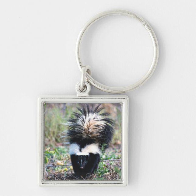Skunk Black and White Keychain (Front)