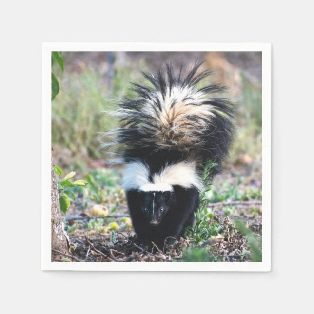 Skunk Black and White Napkins (Front)