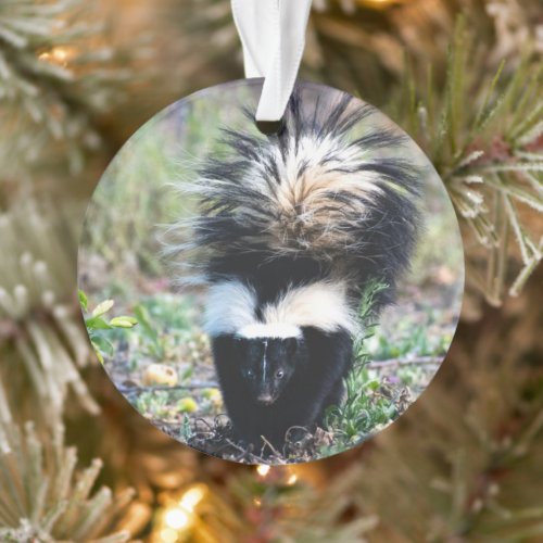 Skunk Black and White Ornament