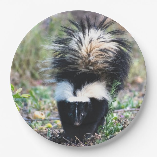 Skunk Black and White Paper Plates (Front)