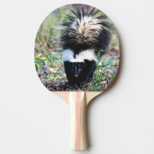 Skunk Black and White Ping Pong Paddle