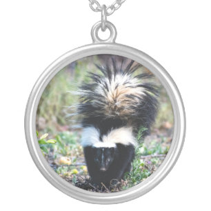 Skunk Black and White Silver Plated Necklace