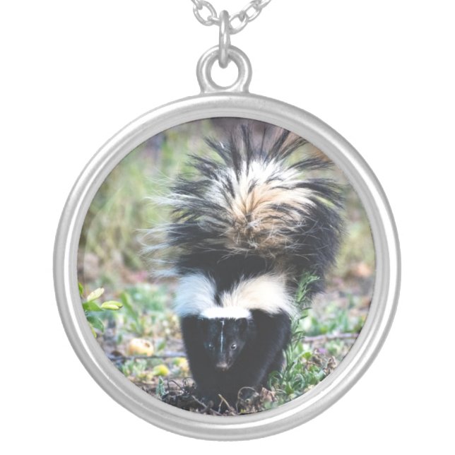 Skunk Black and White Silver Plated Necklace (Front)