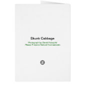 Skunk Cabbage - Card (Back)