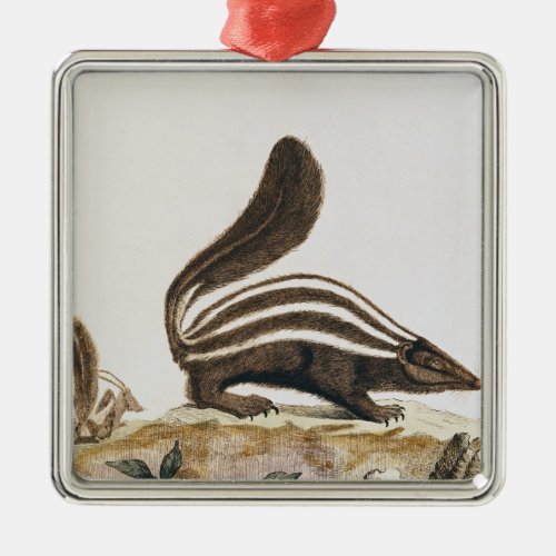 Skunk from Histoire Naturelle by Metal Ornament