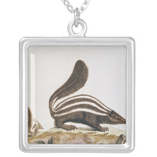 Skunk from Histoire Naturelle by Silver Plated Necklace