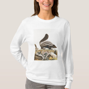 Skunk, from 'Histoire Naturelle' by T-Shirt