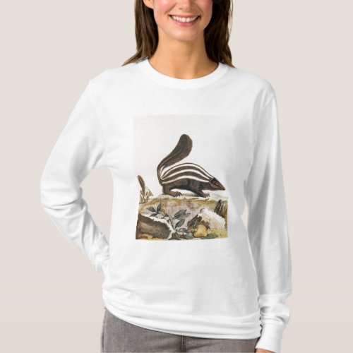 Skunk from Histoire Naturelle by T_Shirt