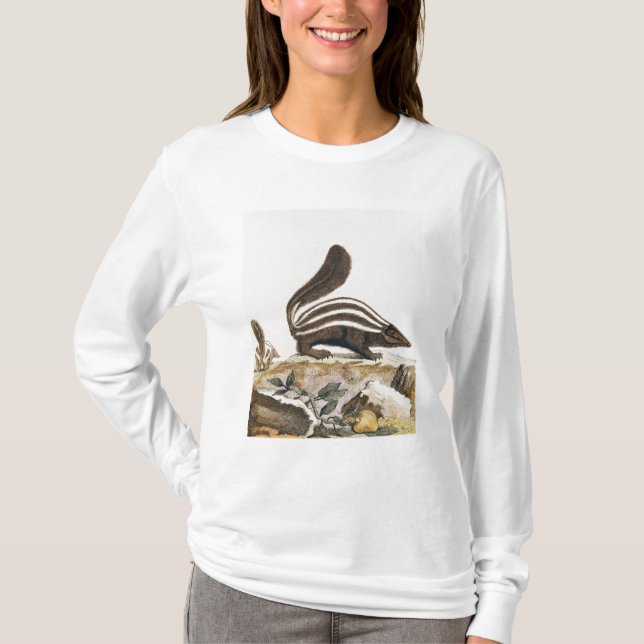 Skunk, from 'Histoire Naturelle' by T-Shirt (Front)