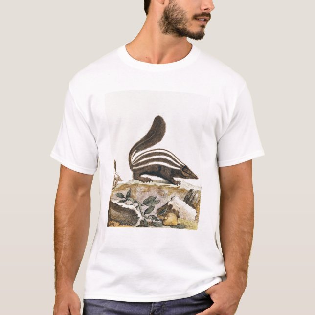 Skunk, from 'Histoire Naturelle' by T-Shirt (Front)