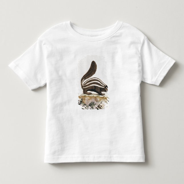 Skunk, from 'Histoire Naturelle' by Toddler T-shirt (Front)