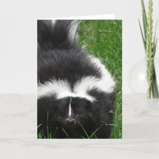 Skunk Greeting Card