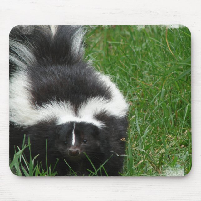 Skunk Mouse Pad (Front)